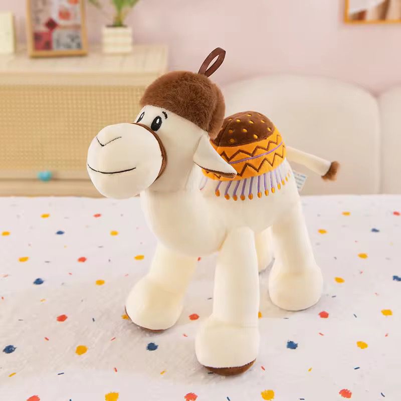 Camels Stuff
