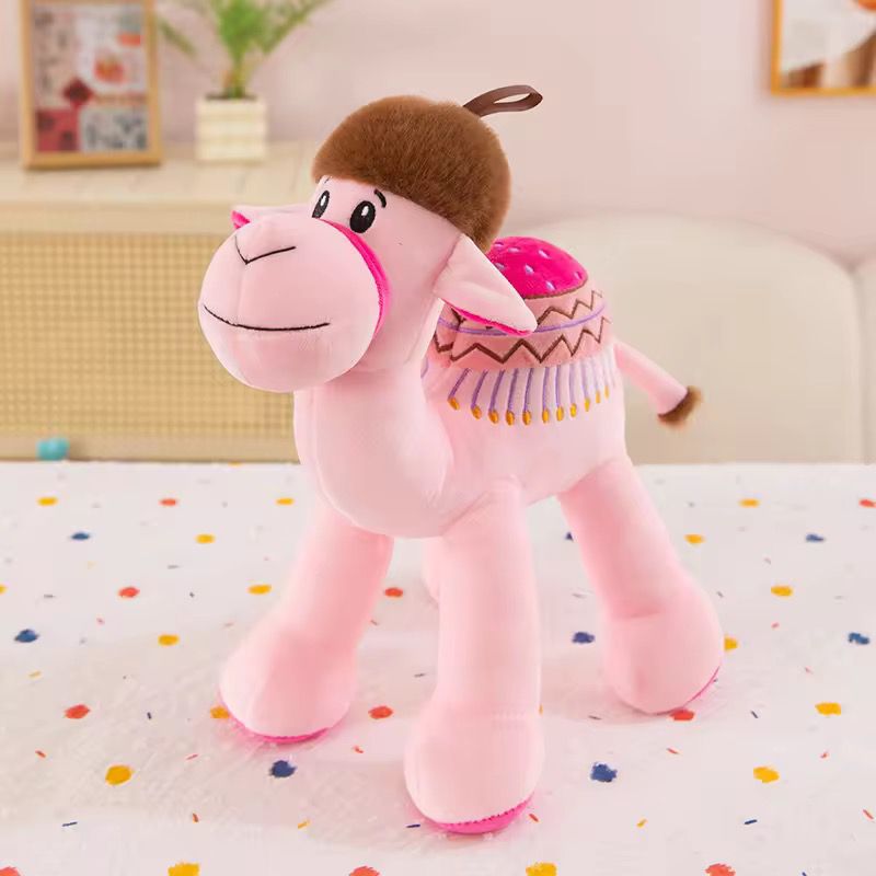 Camels Stuff